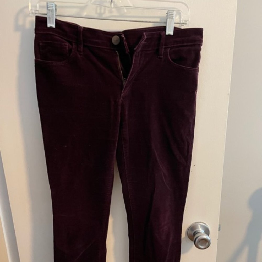 Ann Taylor Loft Plum Corduroy Pant Size 4P